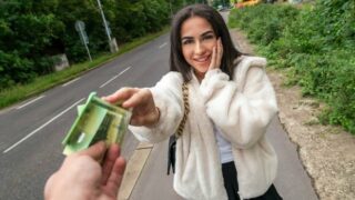 Public Agent The Fake Taxi Movie Episode Three Sorry Martin
