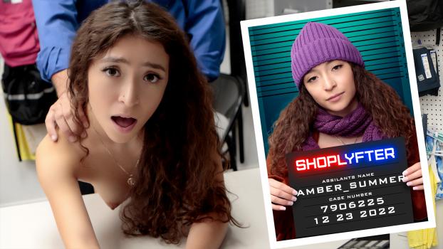 Shoplyfter Case 7906225 The Happy Holidays Thief