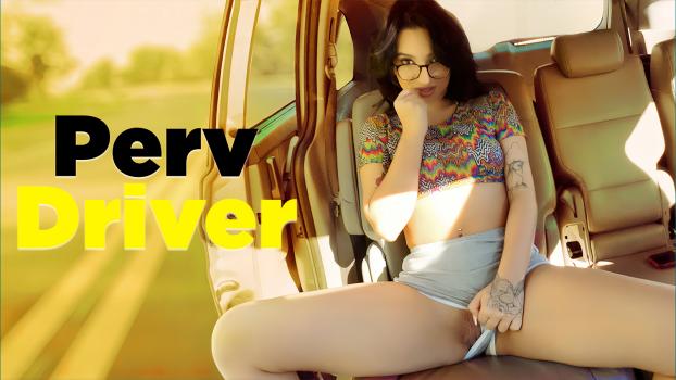 Perv Driver Cams Are Not Just For Safety