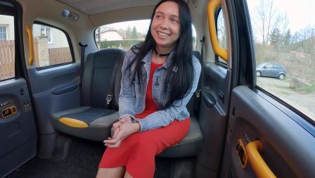 Fake Taxi Thank you for your service