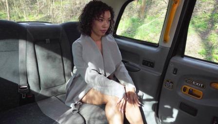 Fake Taxi Pardon My French